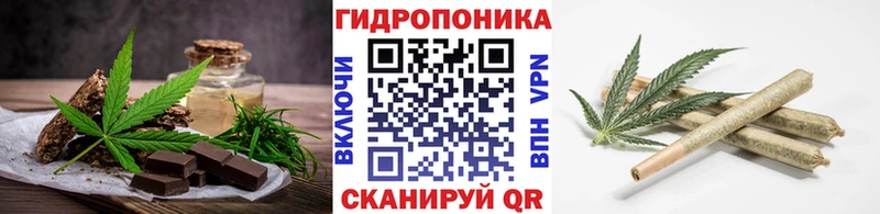 Canna-Cookies марихуана  Светлогорск 