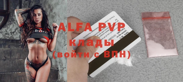 стаф Дубна
